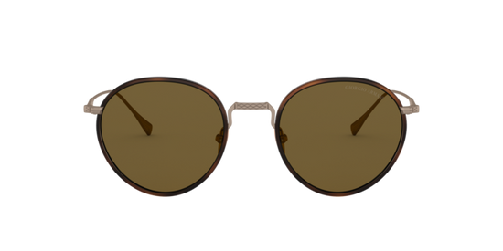 Giorgio Armani Sunglasses AR6103J 300673