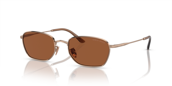 Giorgio Armani Sunglasses AR6151 301173