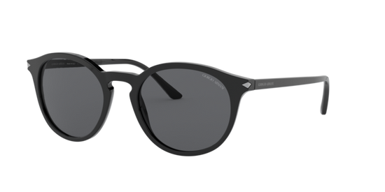 Giorgio Armani Sunglasses AR8122 500187