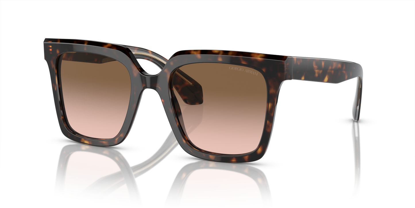 Giorgio Armani Sunglasses AR8156 587951