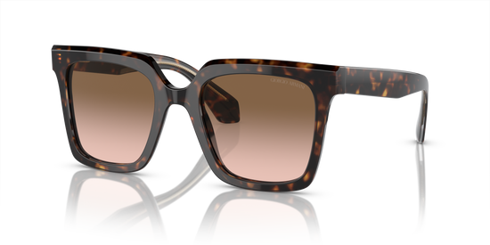 Giorgio Armani Sunglasses AR8156 587951