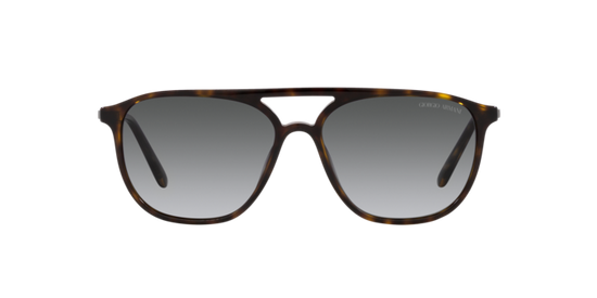 Giorgio Armani Sunglasses AR8179 5026T3