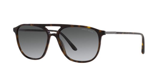 Giorgio Armani Sunglasses AR8179 5026T3