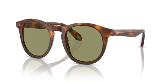 Giorgio Armani Sunglasses AR8192 598814