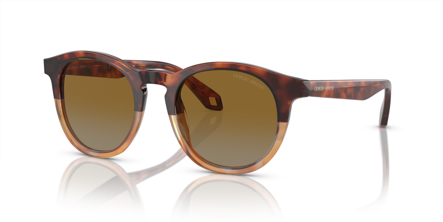Giorgio Armani Sunglasses AR8192 6034B2