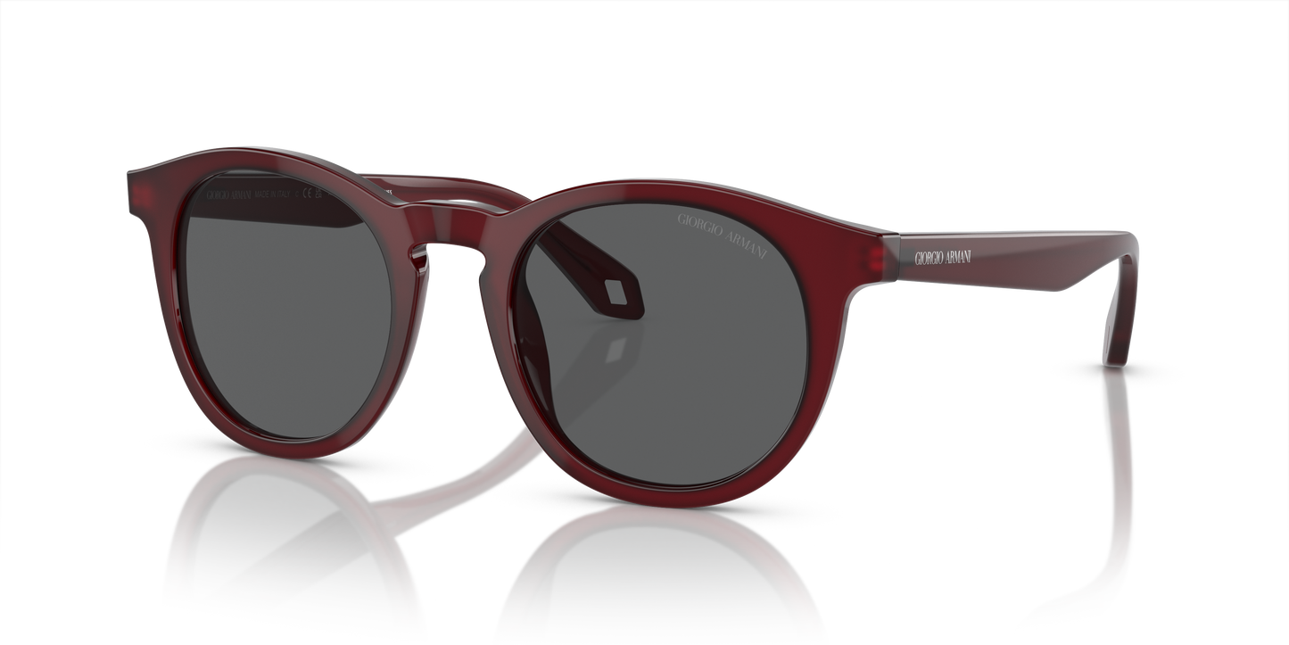 Giorgio Armani Sunglasses AR8192 6045B1