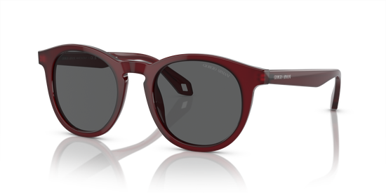 Giorgio Armani Sunglasses AR8192 6045B1