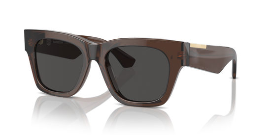 Burberry Sunglasses BE4424 411687