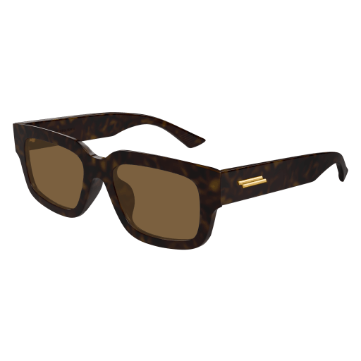 Bottega Veneta BV1359SA 002 53 - Man and Woman Sunglasses