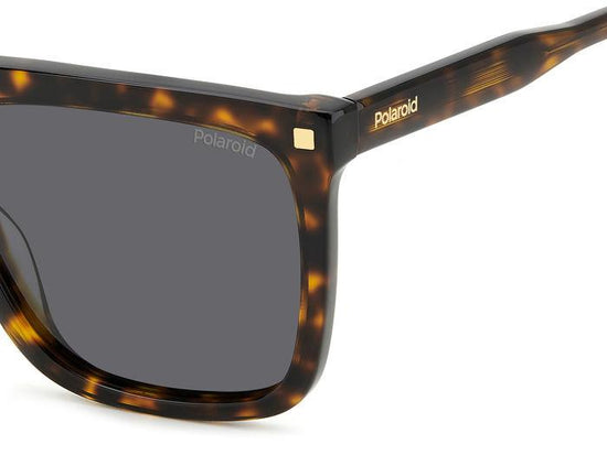 Polaroid {Product.Name} Sunglasses PLD4166/S/X 086/M9