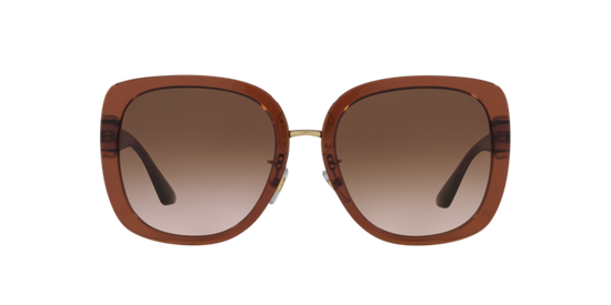 Versace Sunglasses VE4407D TRANSPARENT BROWN