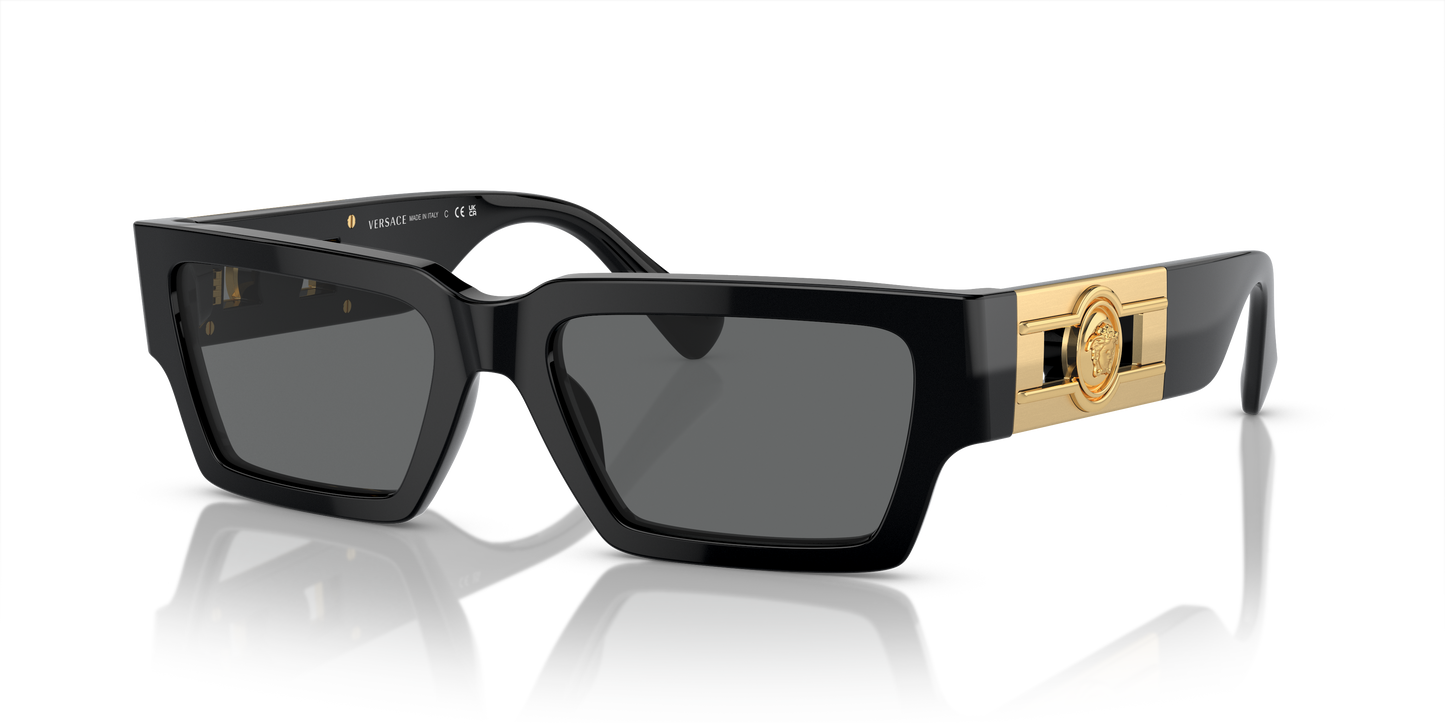 Versace Sunglasses VE4459 BLACK