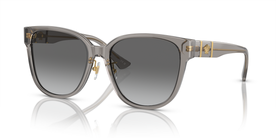 Versace Sunglasses VE4460D OPAL GREY