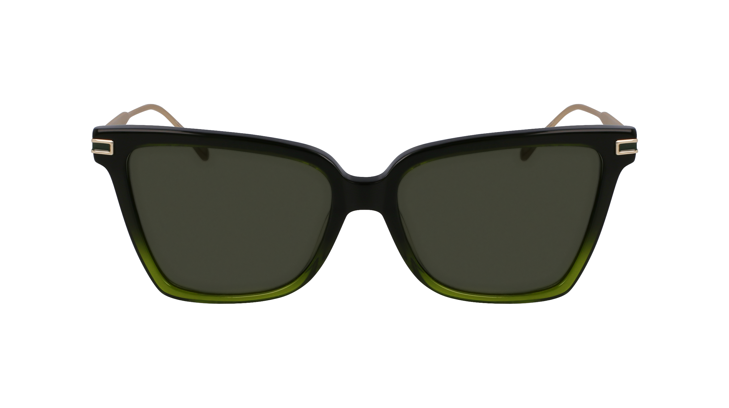 Ferragamo SF2036S 316 - Gradient transparent dark gree Sunglasses