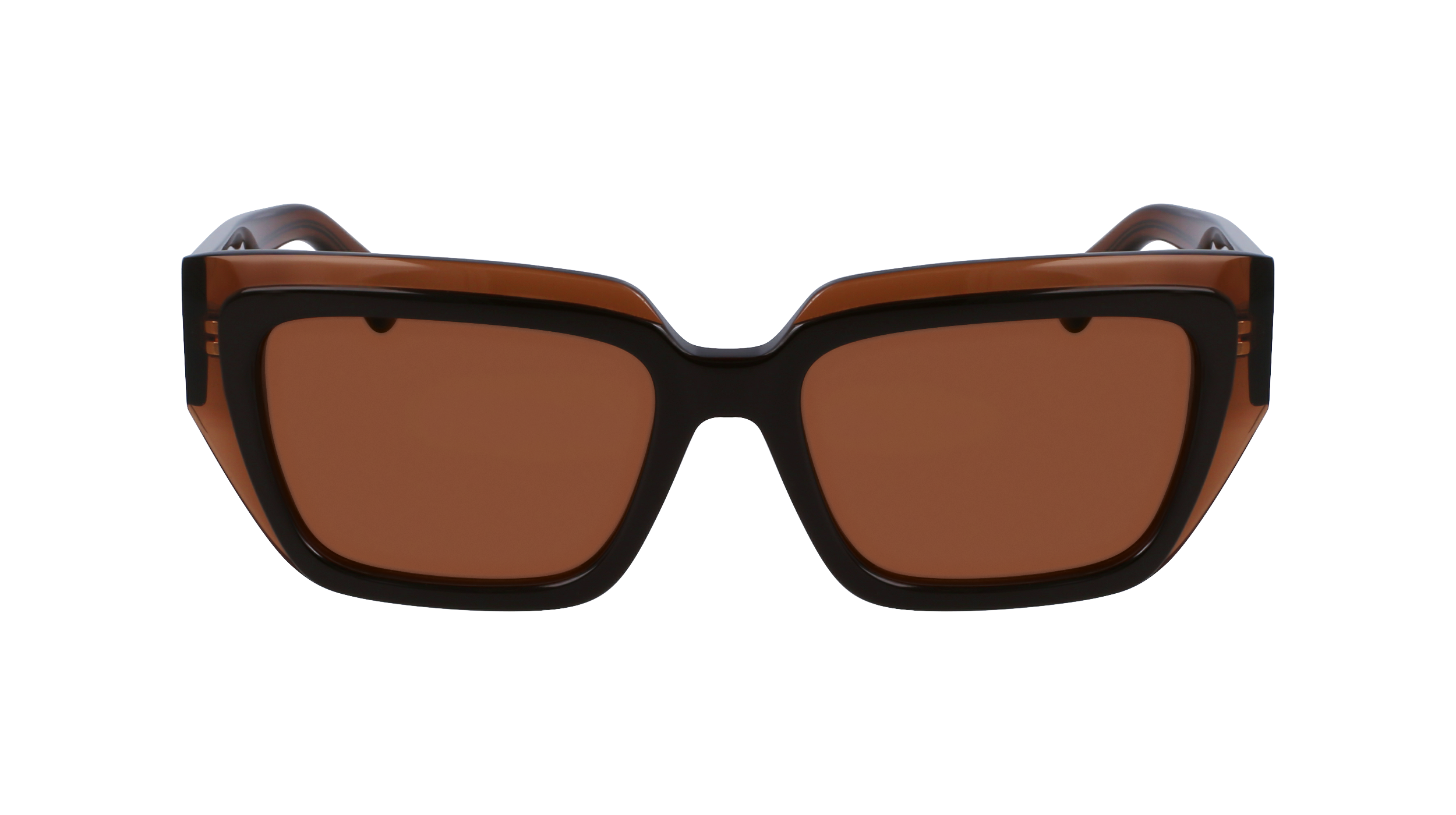 Ferragamo SF2002S 233 - Transparent brown/brown Sunglasses