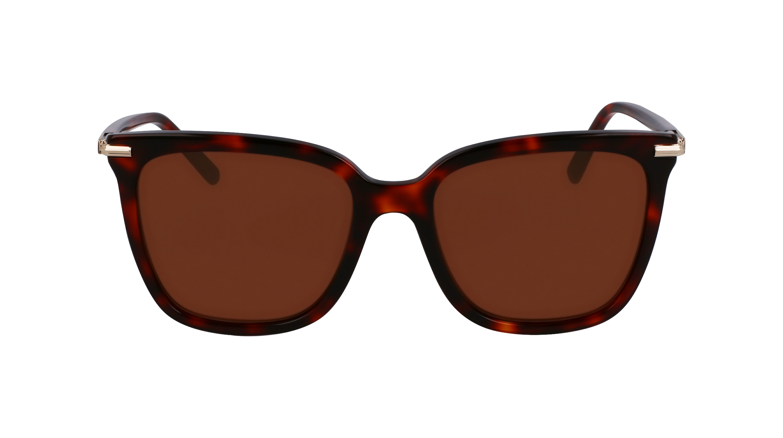 Salvatore Ferragamo SF2037S Sunglasses 640 Tortoise acetate Rectangle Ferragamo SF2037S 1 - Black Sunglasses | LookerOnline main image 4