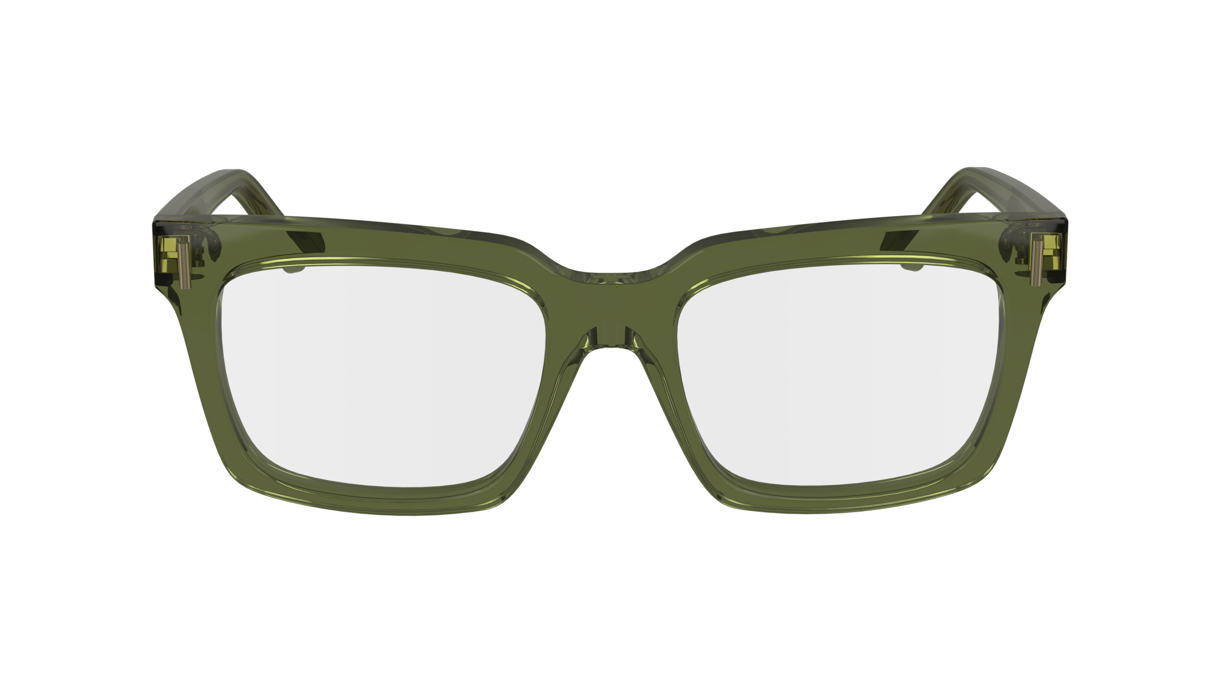 Ferragamo SF2993 320 - Transparent khaki Eyeglasses  display picture 2