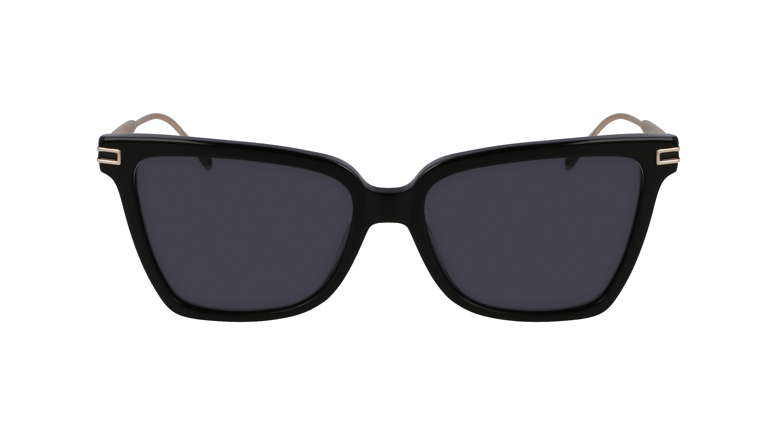 Ferragamo SF2036S 1 - Black Sunglasses | LookerOnline