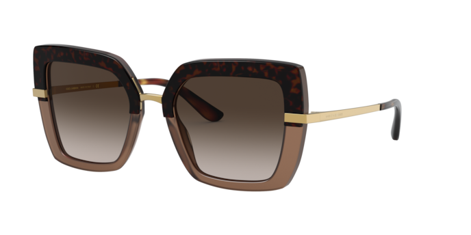Dolce & Gabbana DG4373 325613 Havana On Transparent Brown  display picture 2