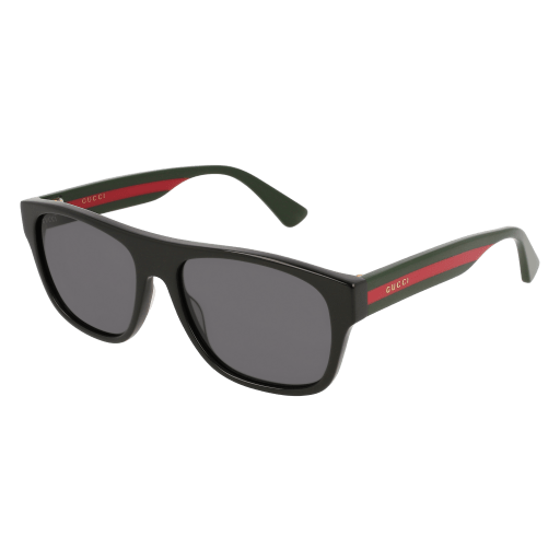 Gucci Sunglasses GG0341S 001