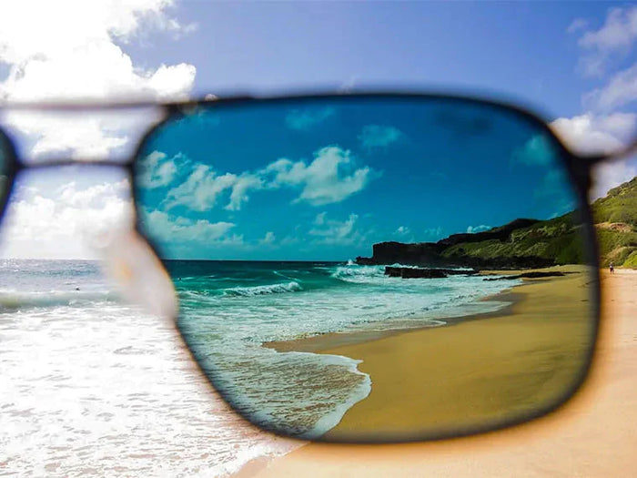 Polarized Sunglasses