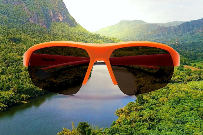 Sustainable sunglasses