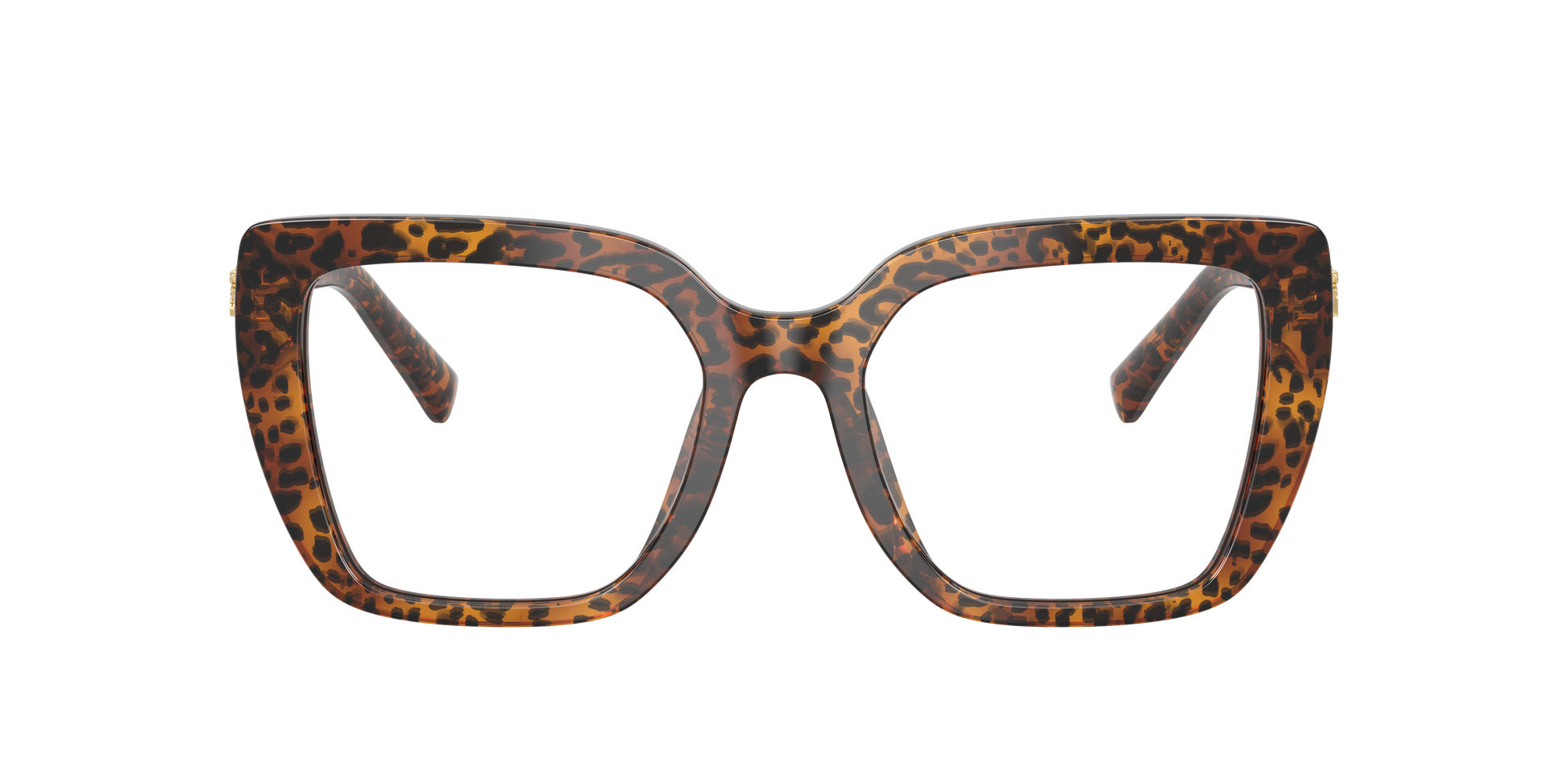 Dolce & Gabbana DG3441 3470