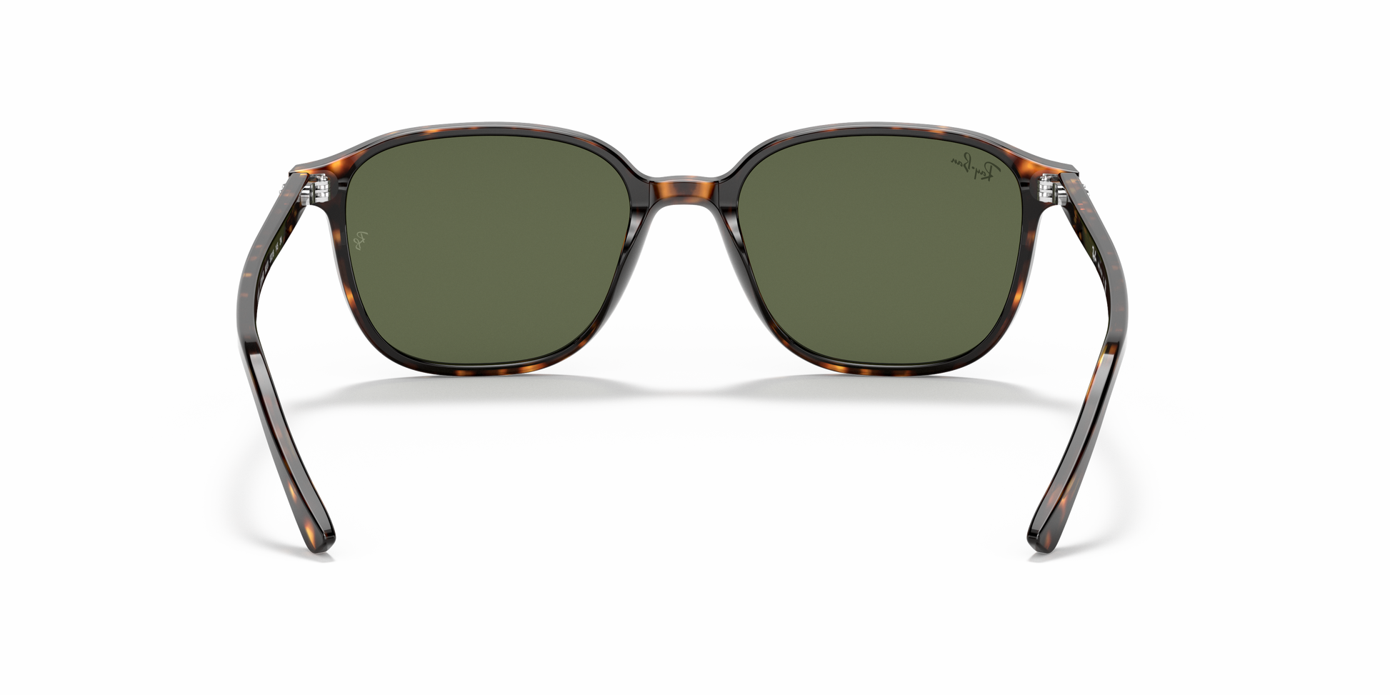 Ray-Ban RB2193 LEONARD 902/31