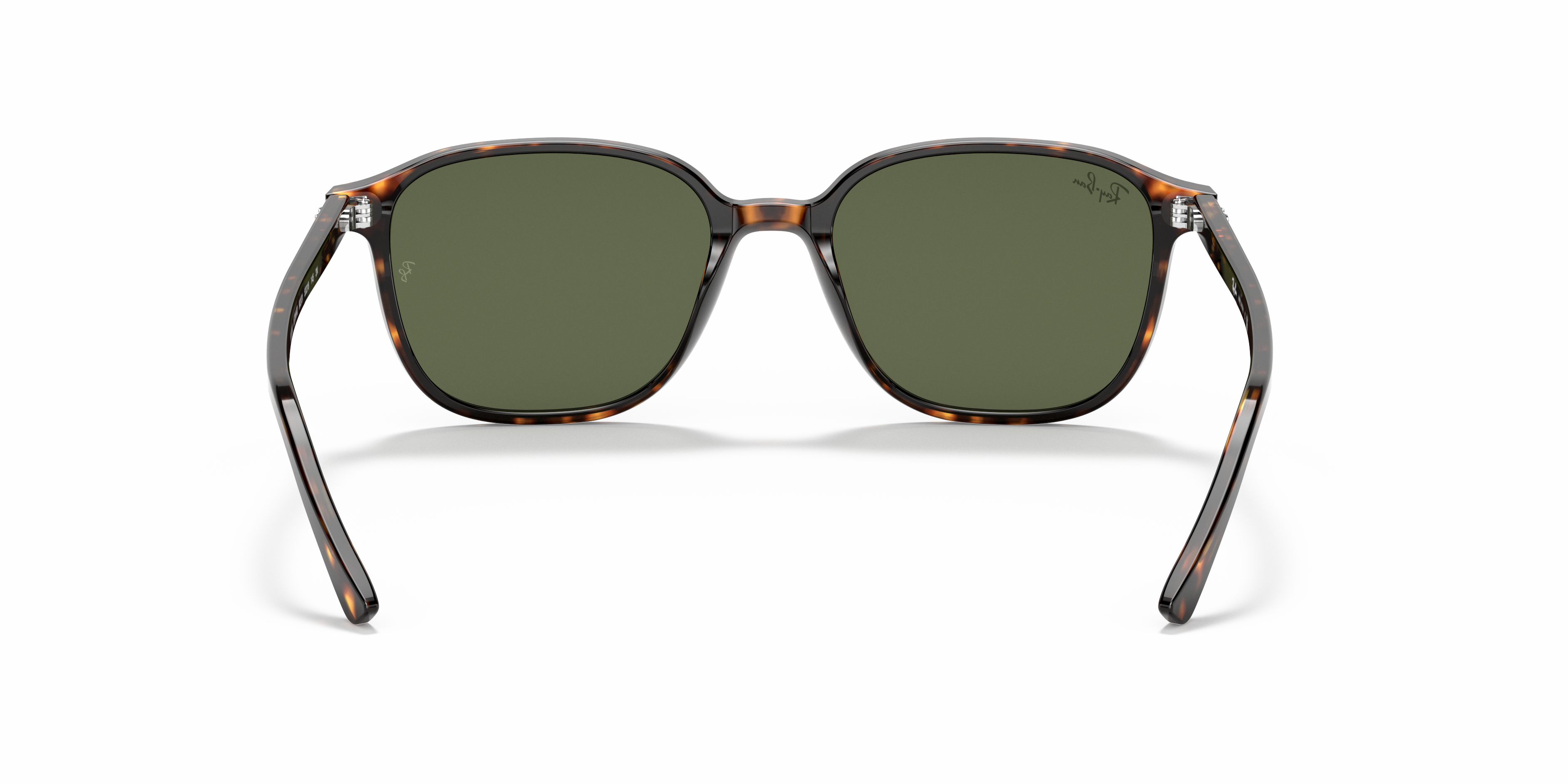 Ray-Ban RB2193 LEONARD 902/31