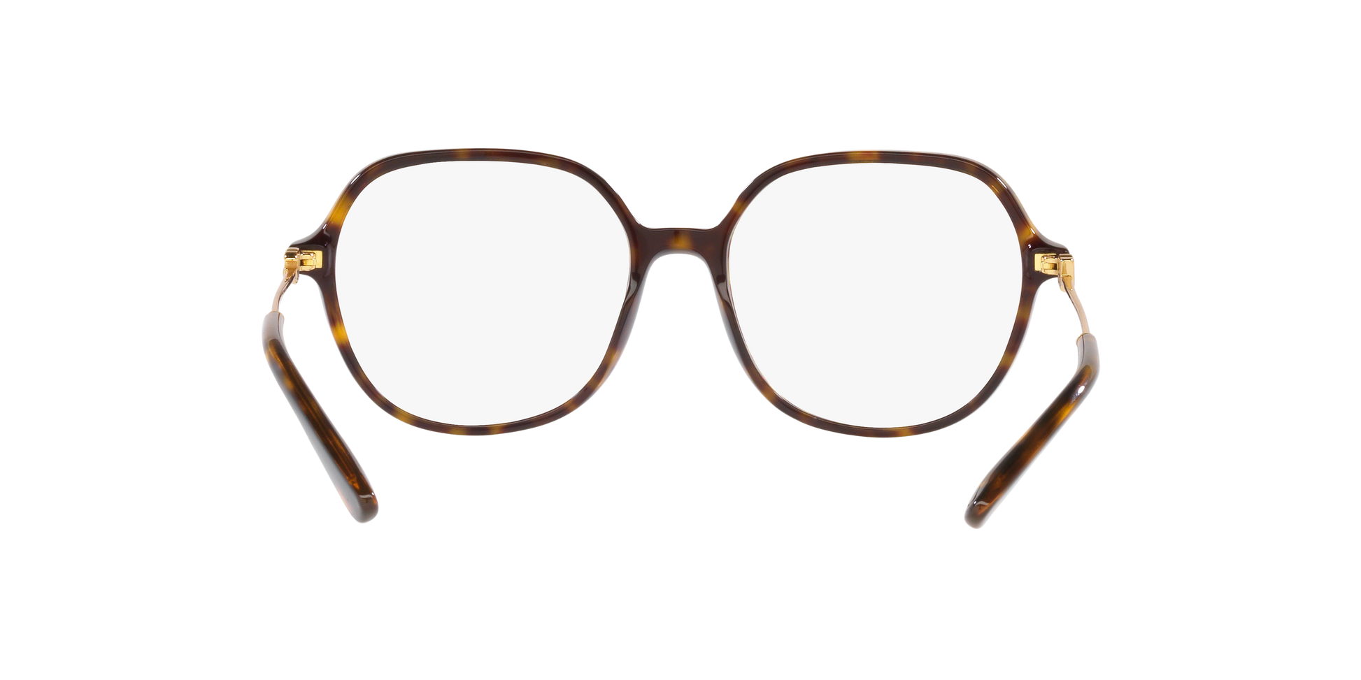Dolce & Gabbana DG3364 502