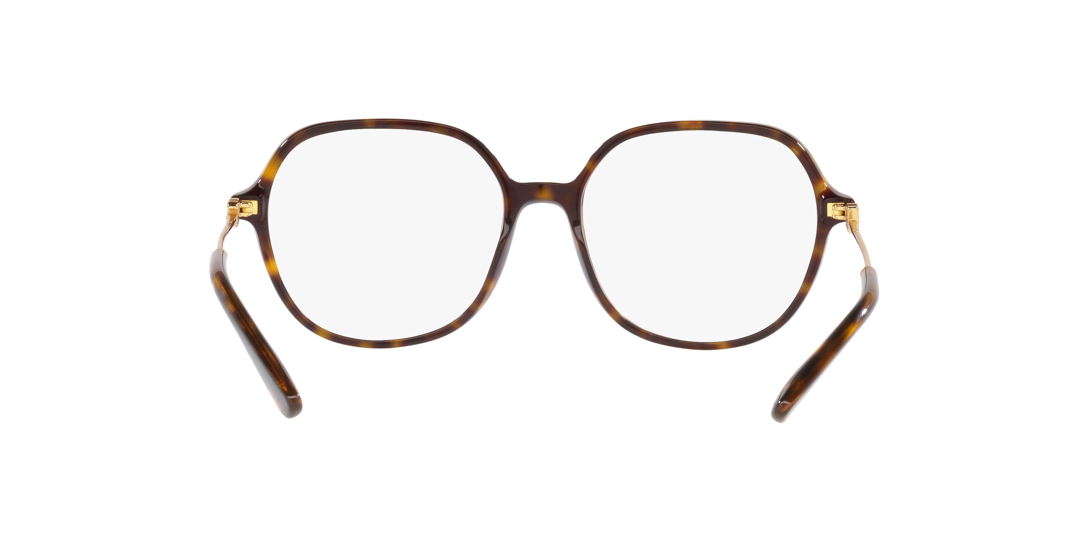 Dolce & Gabbana DG3364 502