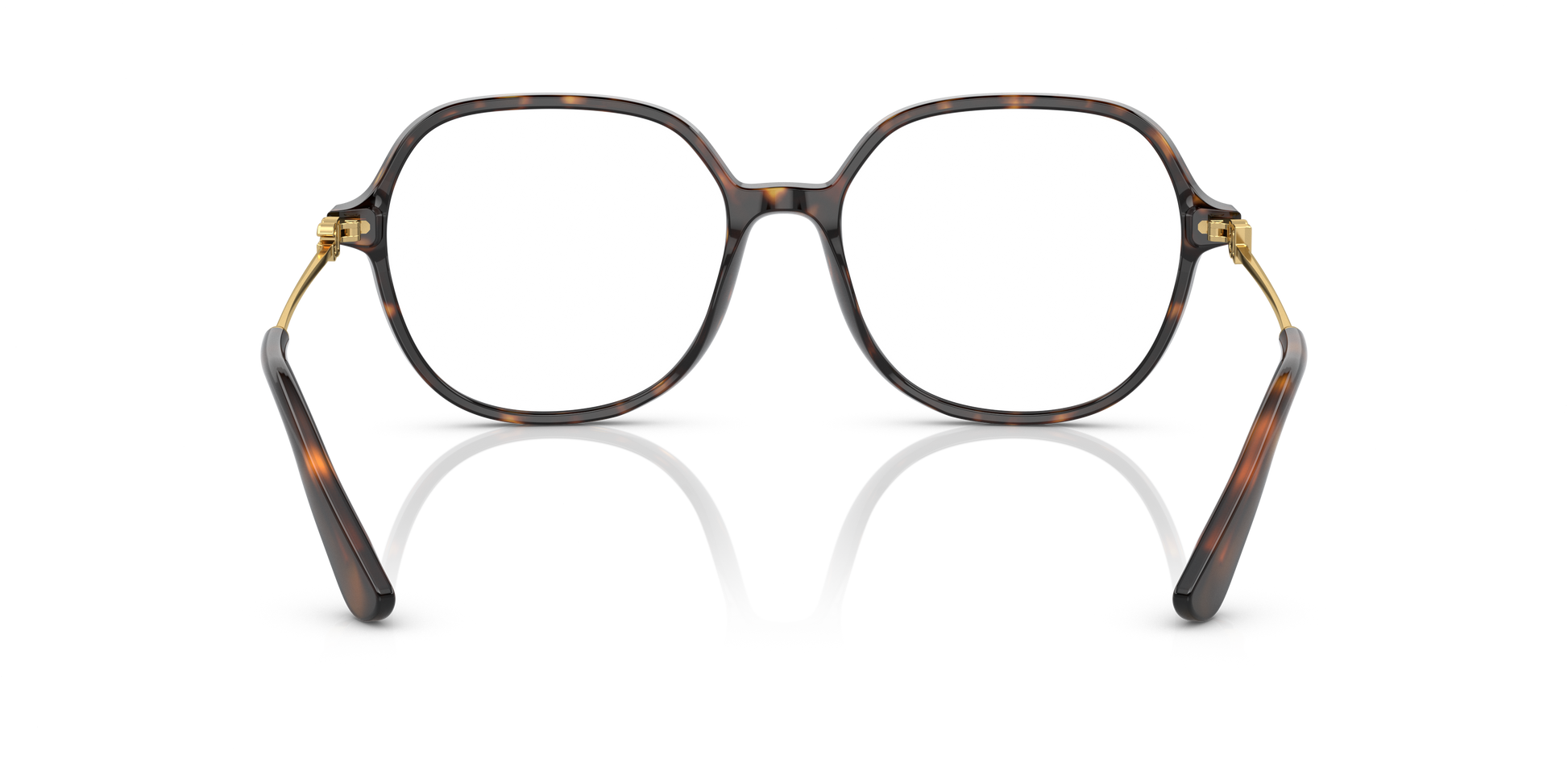 Dolce & Gabbana DG3364 502