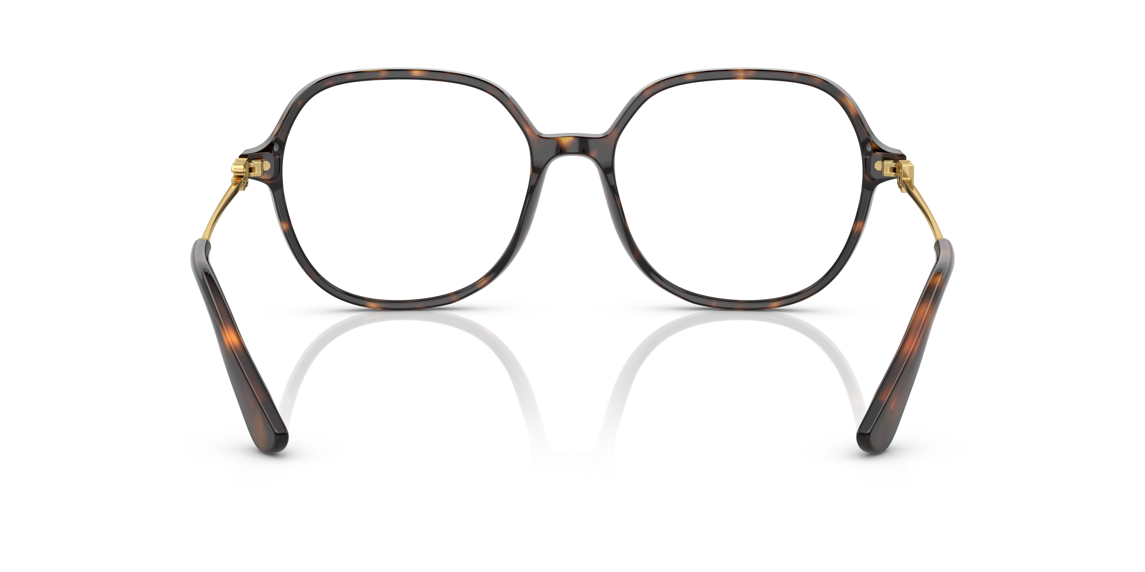 Dolce & Gabbana DG3364 502