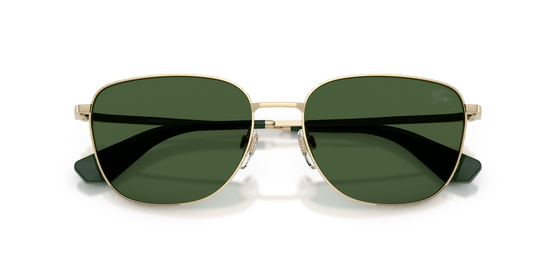 Burberry BE3171 110971