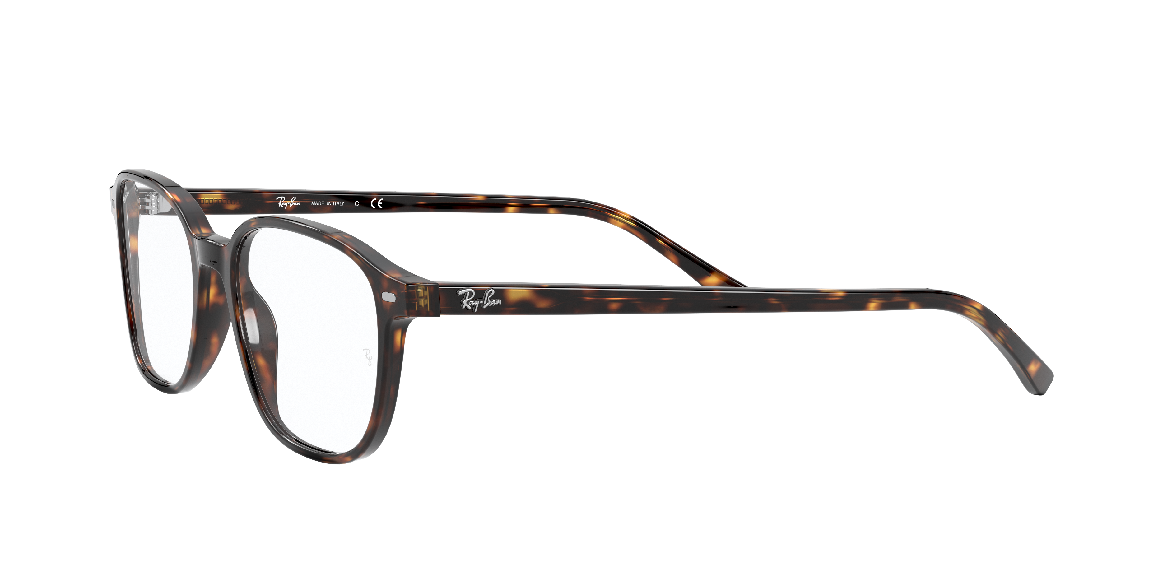 Ray-Ban RX5393 LEONARD 2012