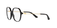 Dolce & Gabbana DG3364 501