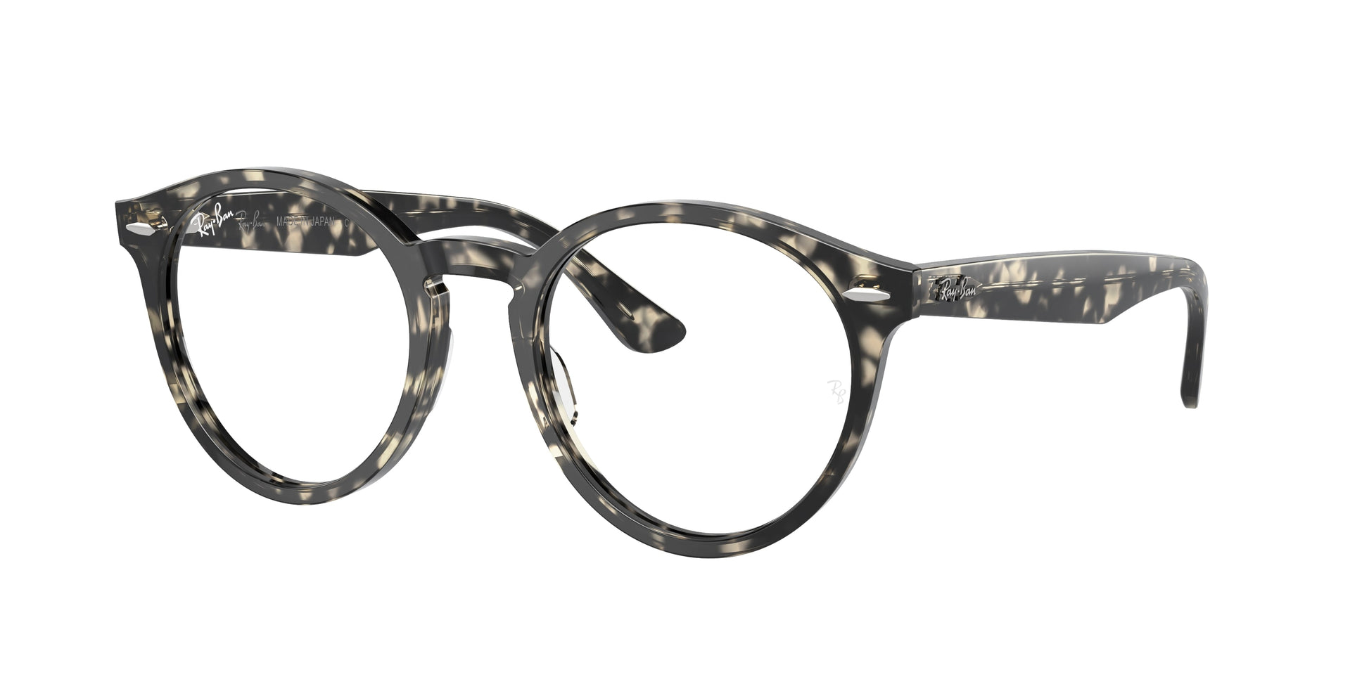 Ray-Ban RX7680V LARRY 8117