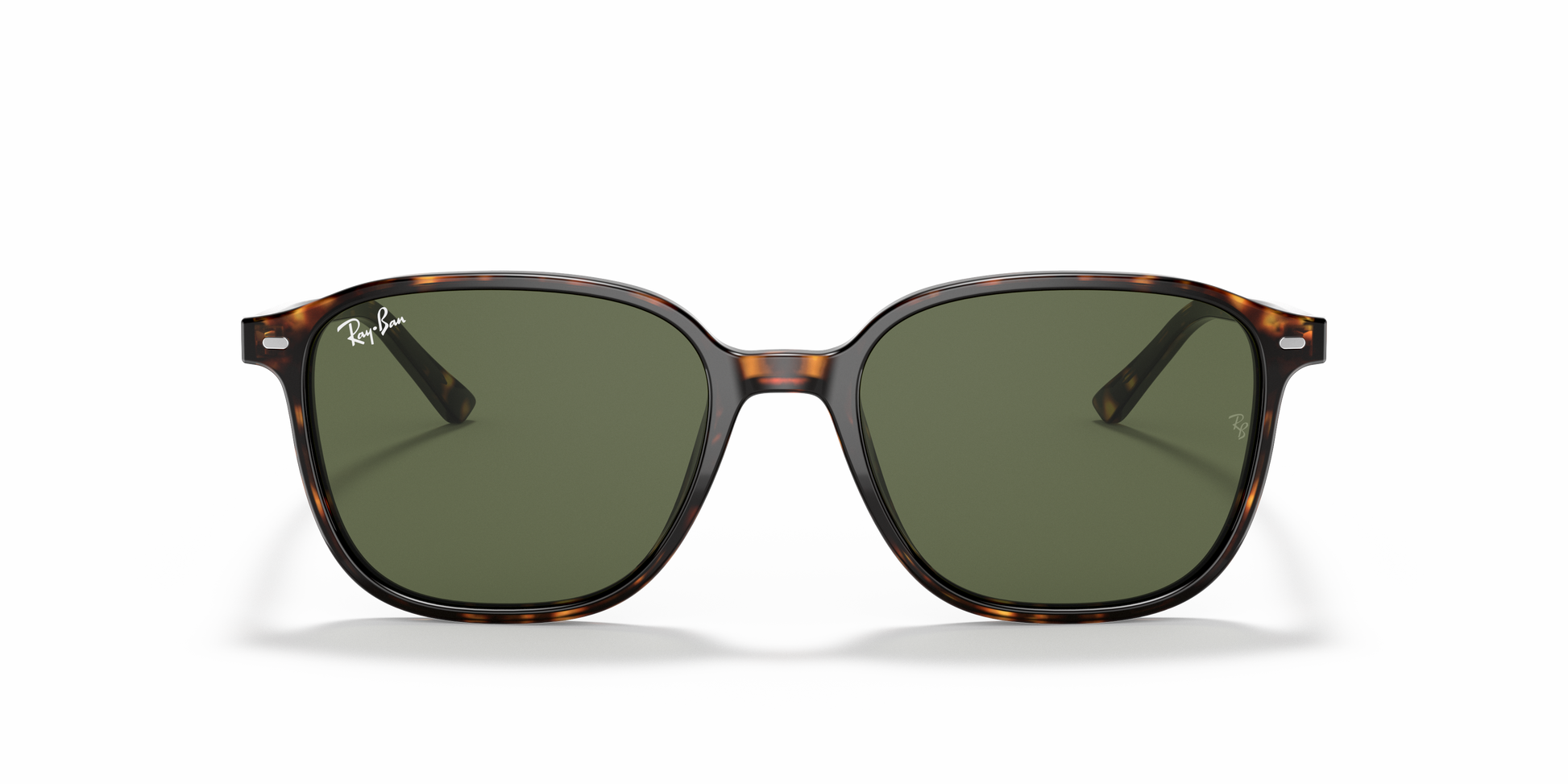 Ray-Ban RB2193 LEONARD 902/31