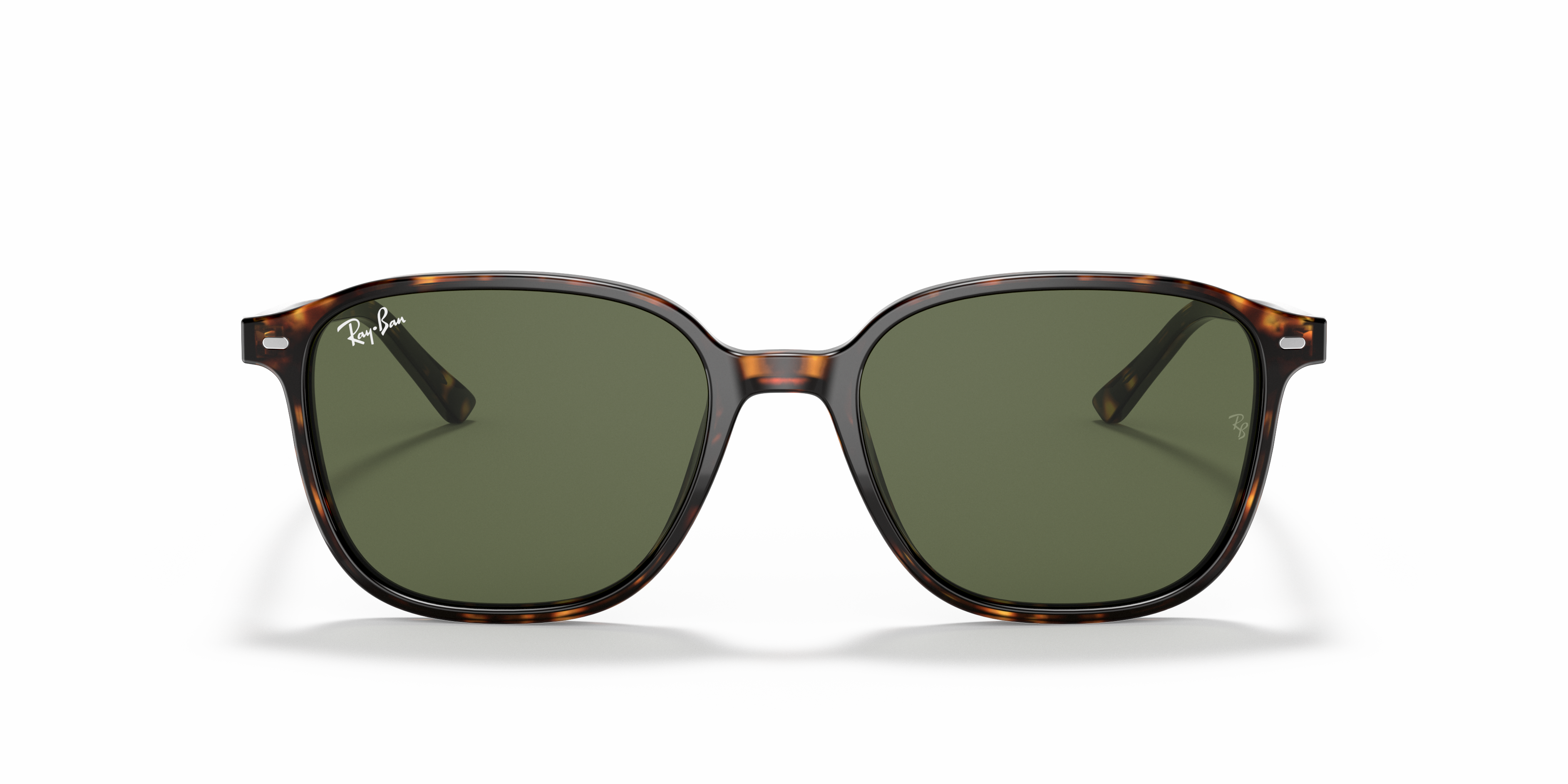 Ray-Ban RB2193 LEONARD 902/31