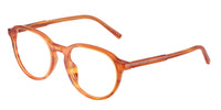 Dolce & Gabbana DG3444 3483