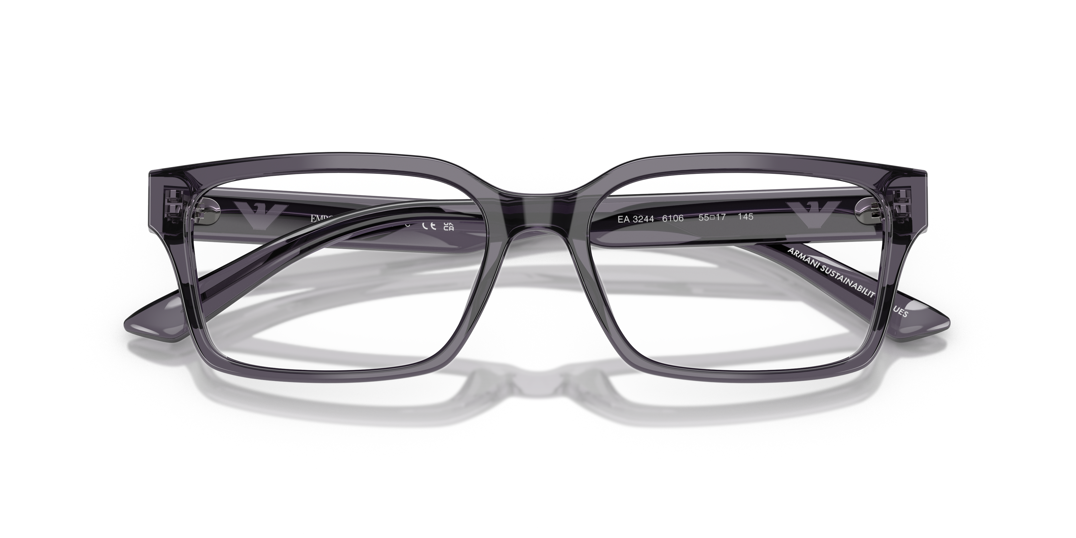 Emporio Armani EA3244 6106
