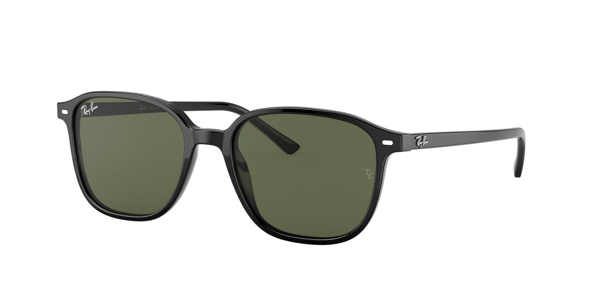 Ray-Ban RB2193 LEONARD 901/31