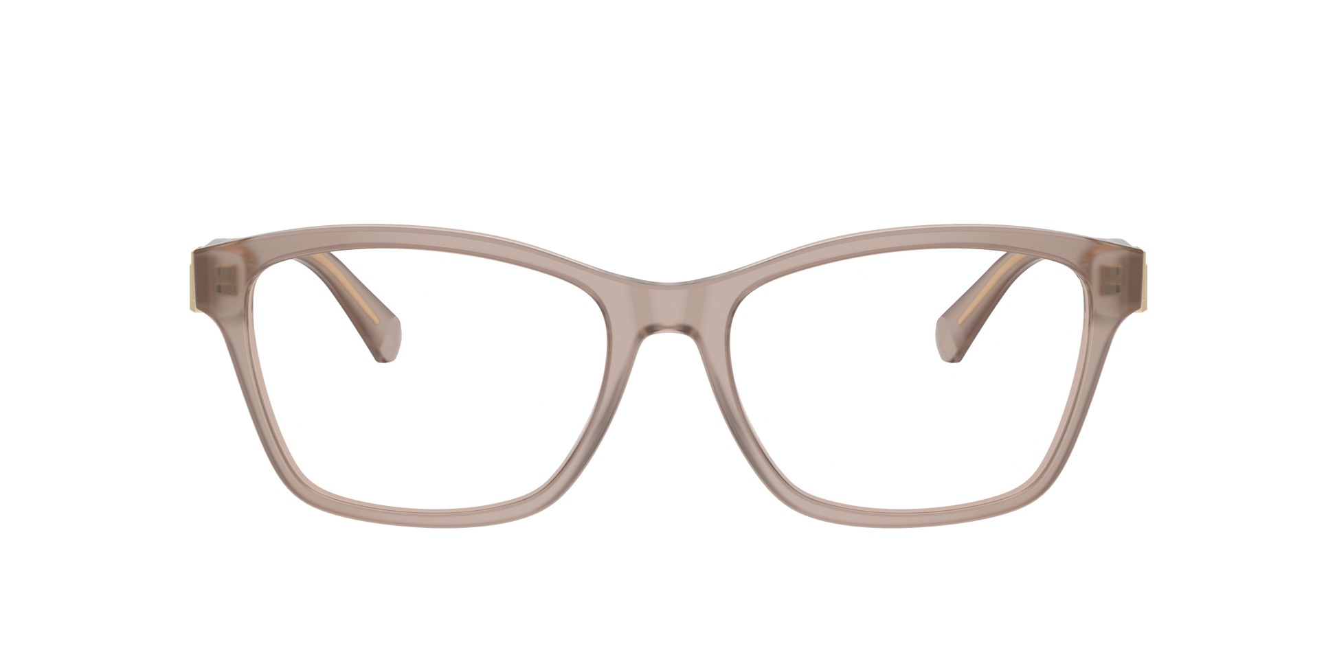 Ralph Lauren RL6243 6182