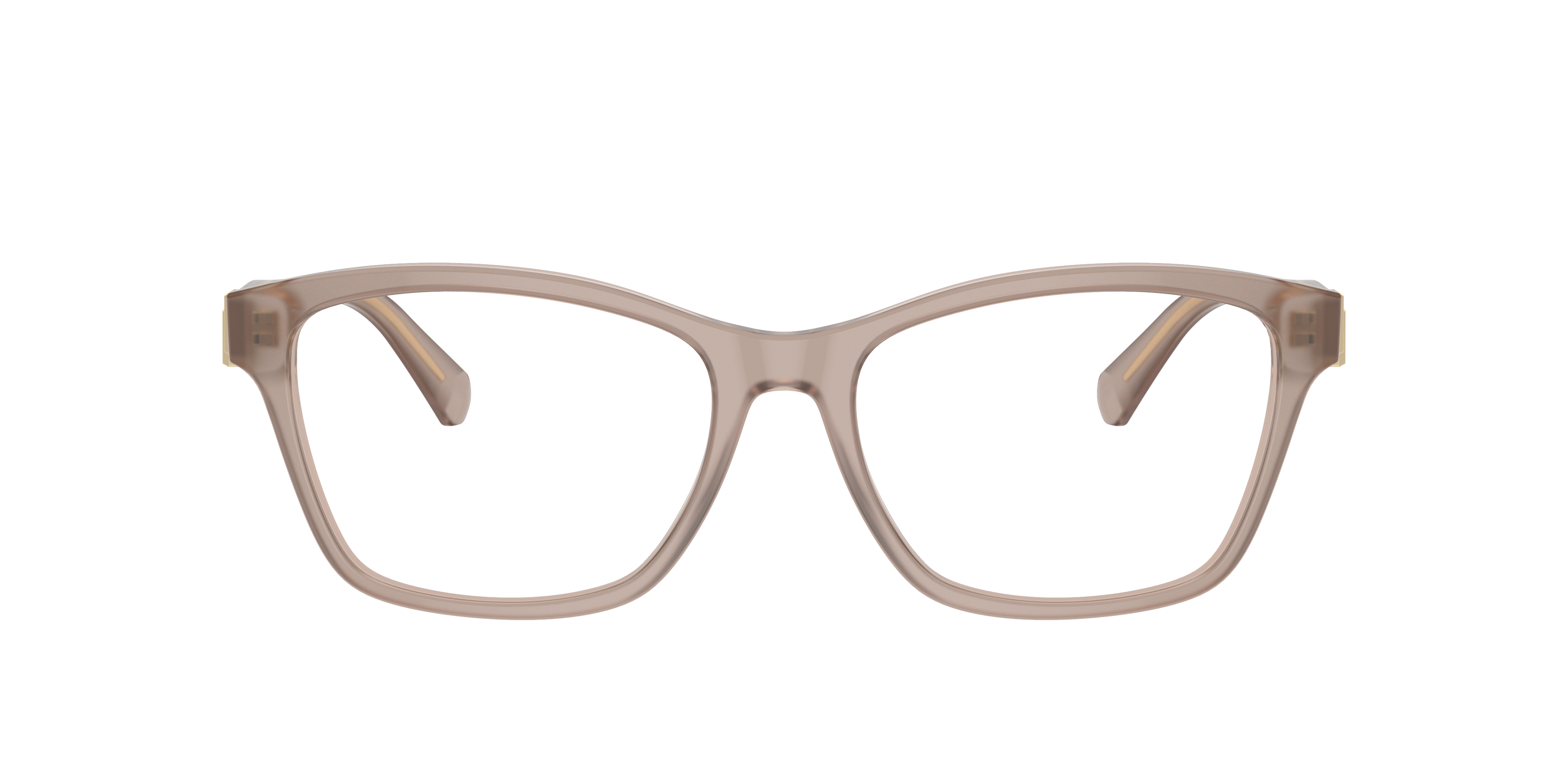 Ralph Lauren RL6243 6182