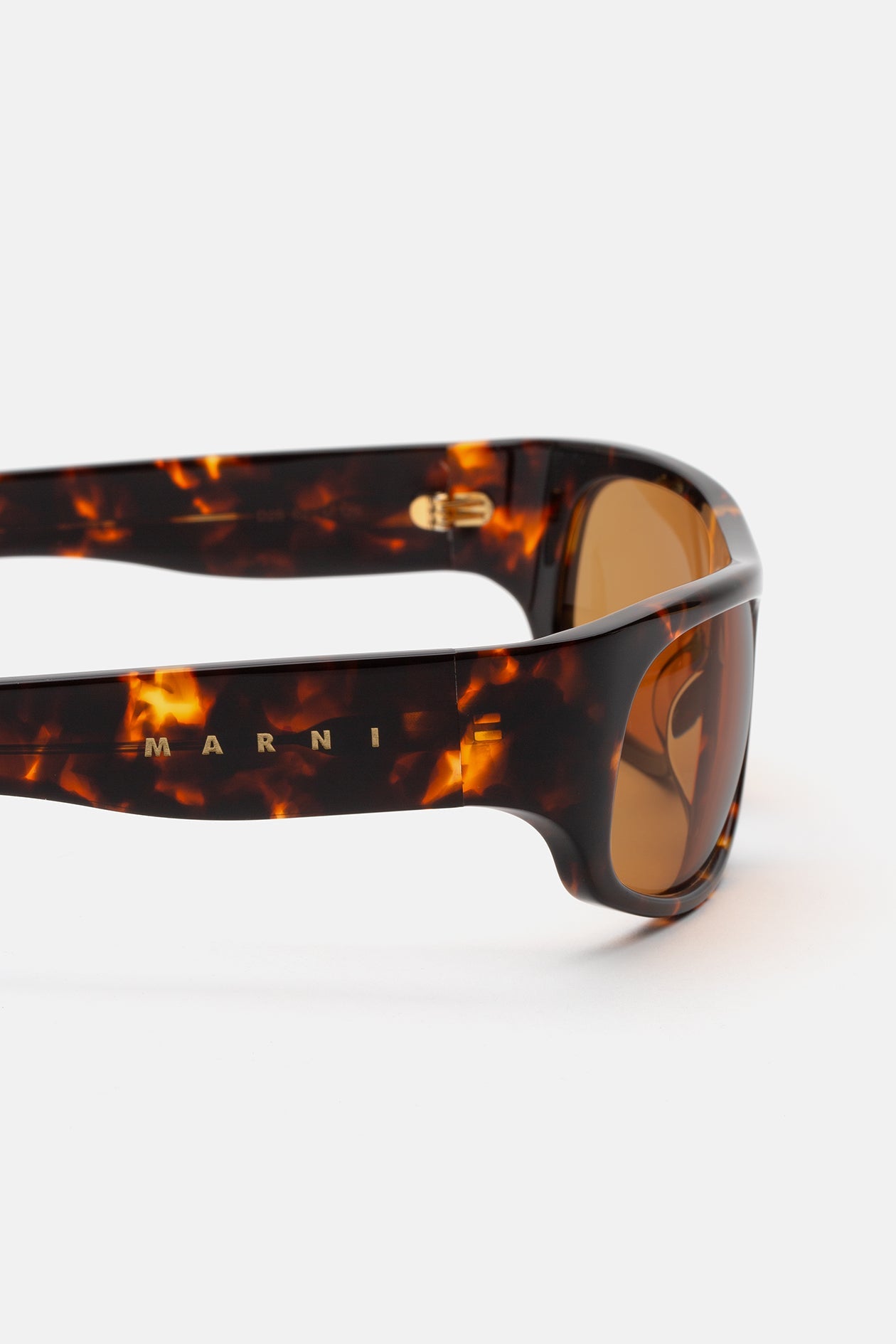 Marni Uailus Burnt Havana