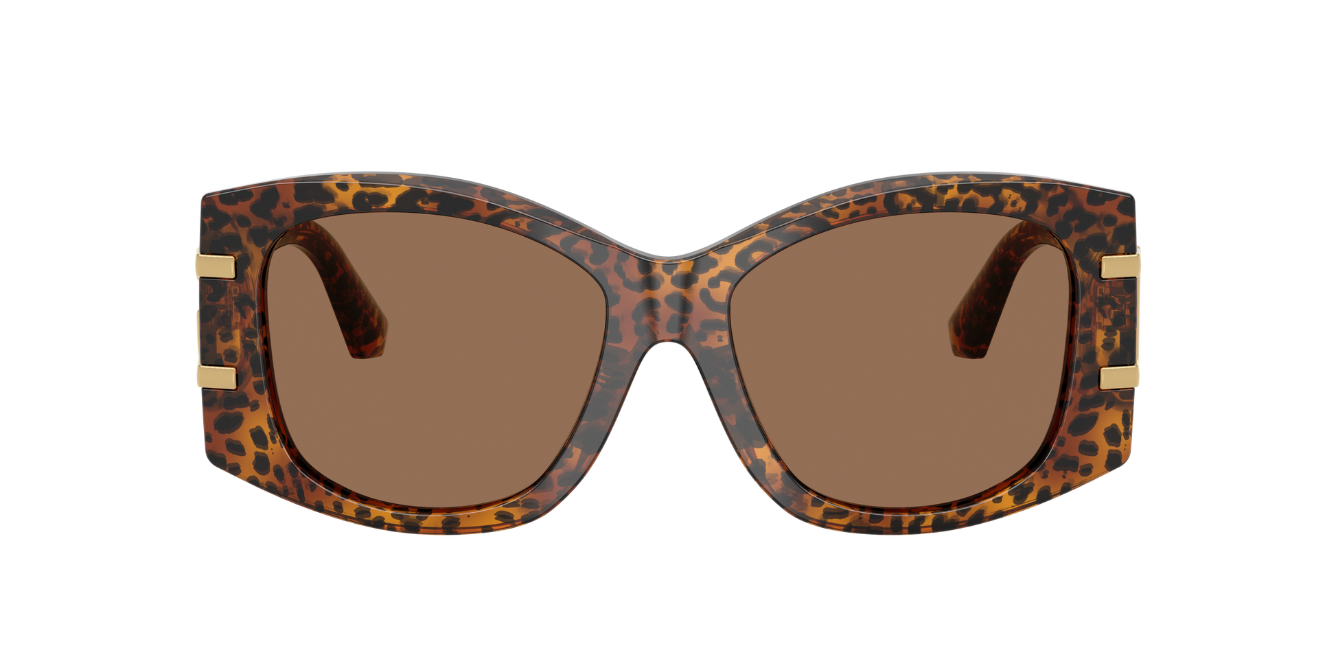 Dolce & Gabbana DG4501 347073