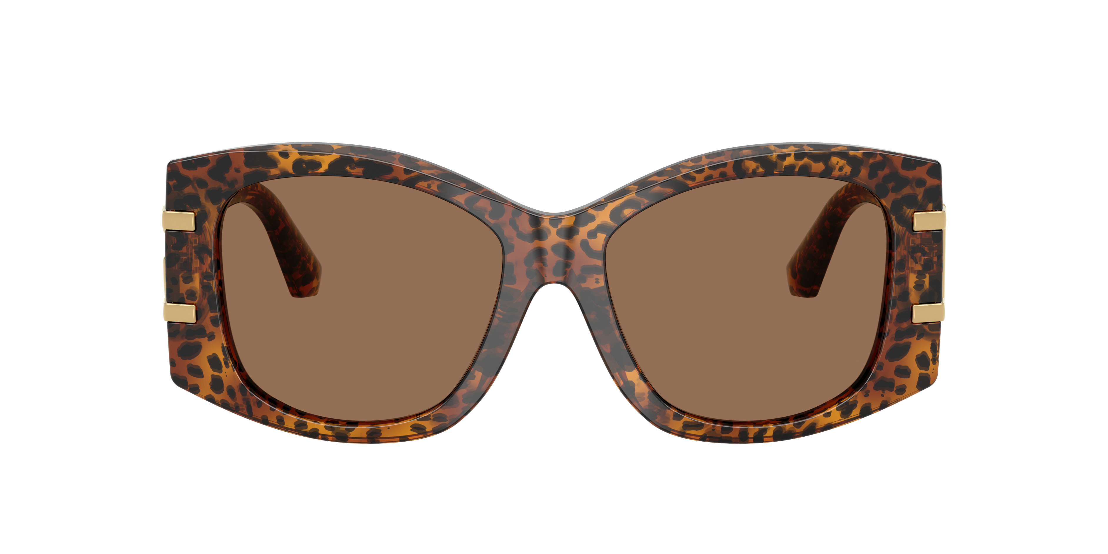 Dolce & Gabbana DG4501 347073