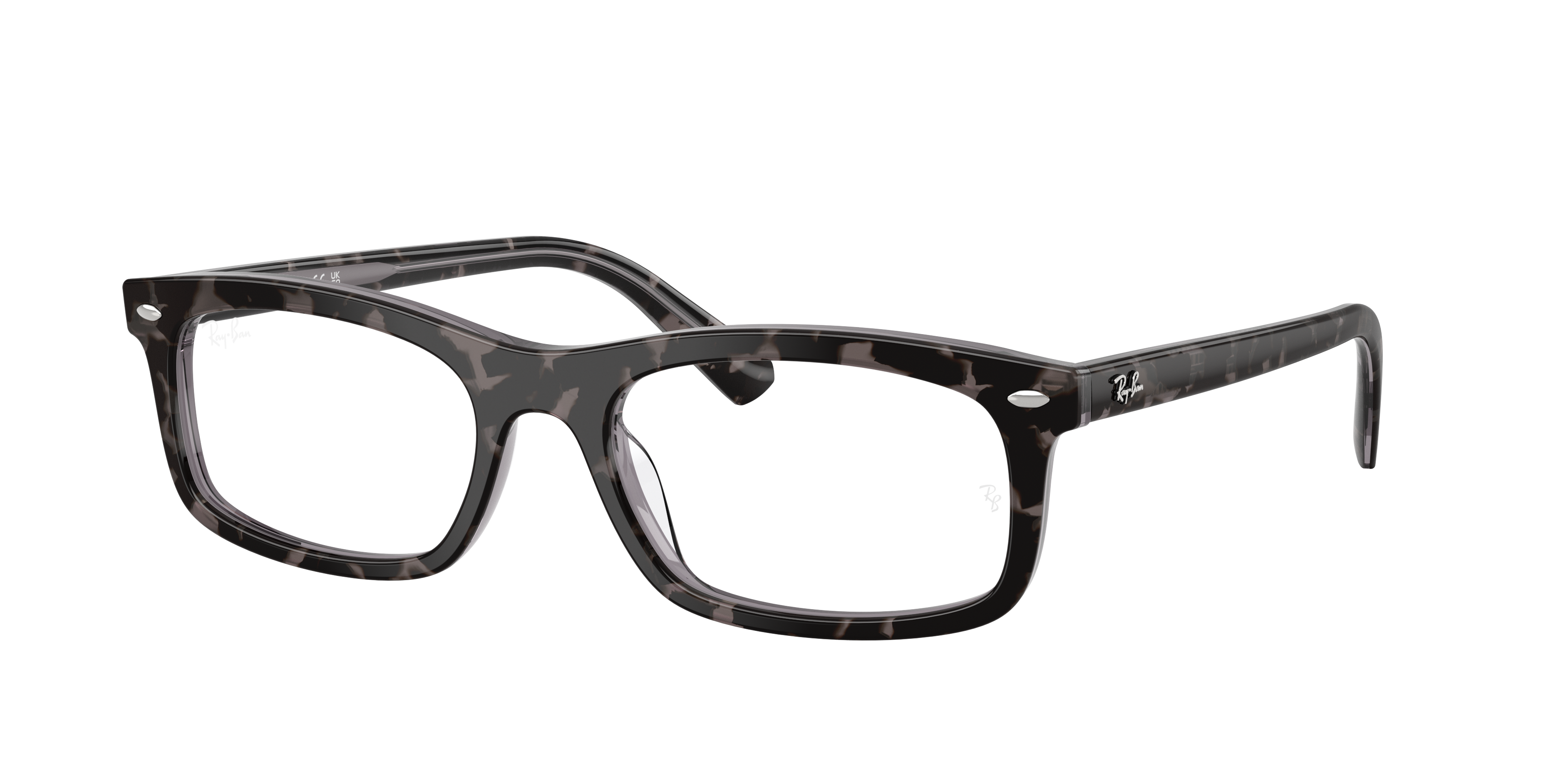 Ray-Ban RX5450 8483