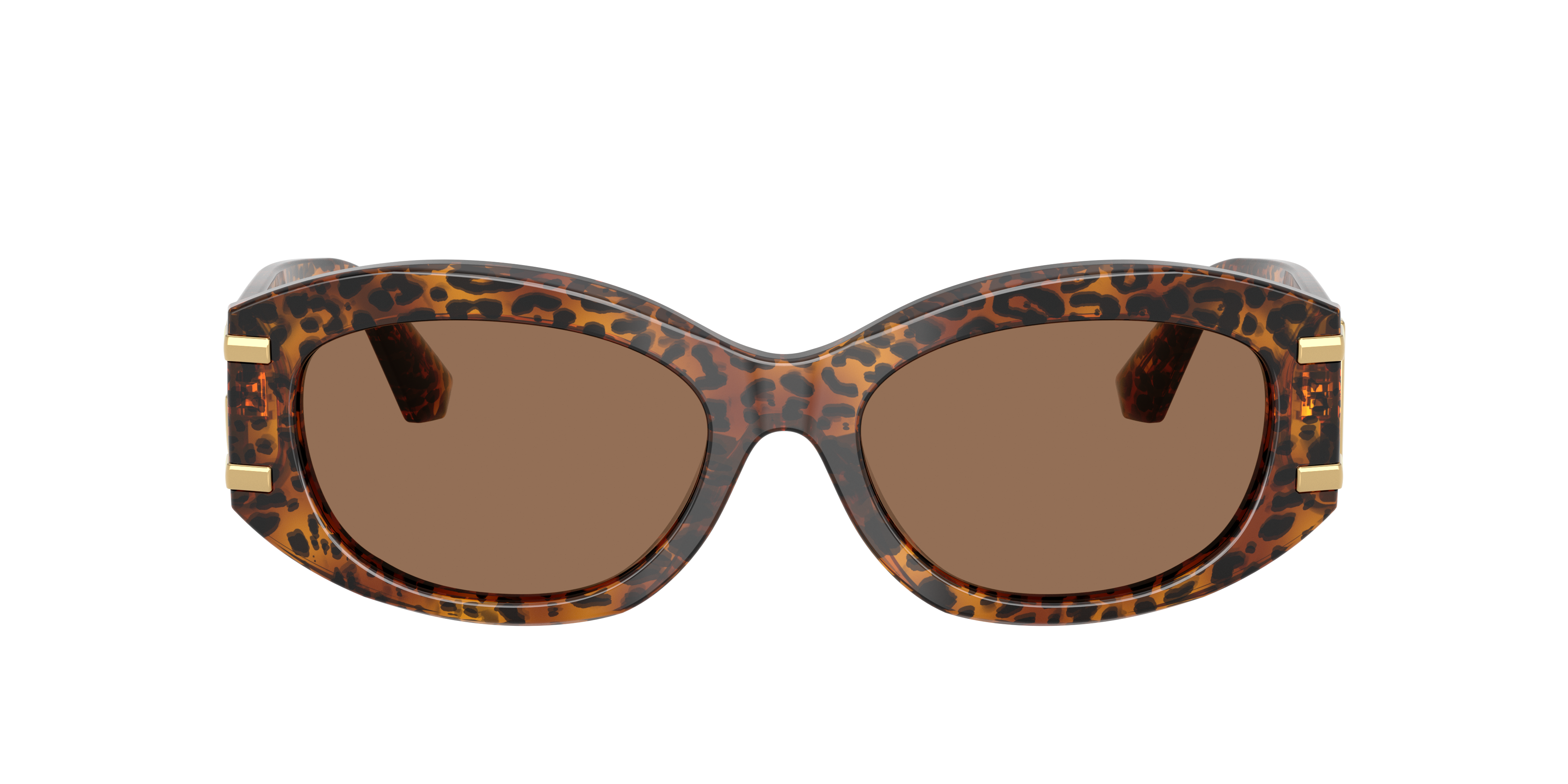 Dolce & Gabbana DG4502 347073