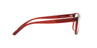 Arnette AN7232 ELBO 2875